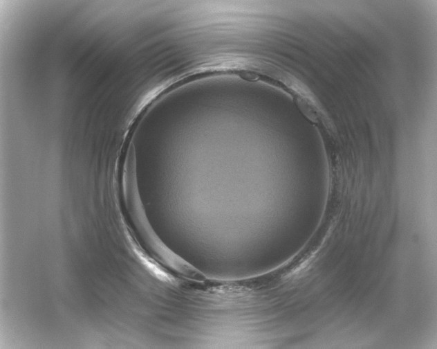 X0000066520842200603171216