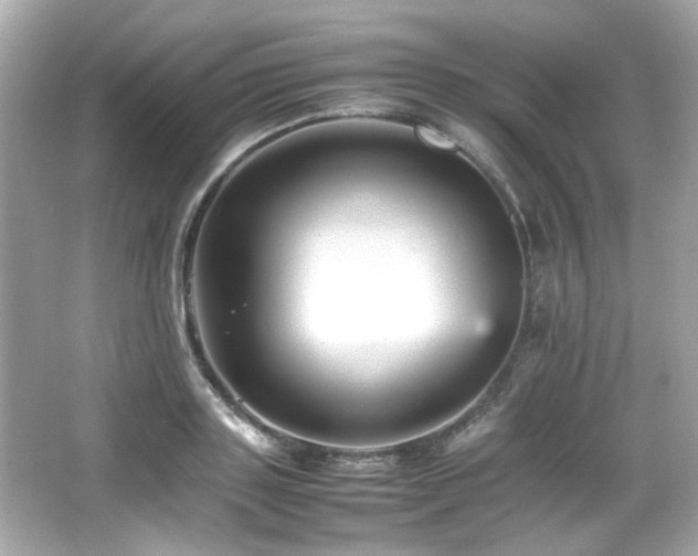 X0000066520843200603171216