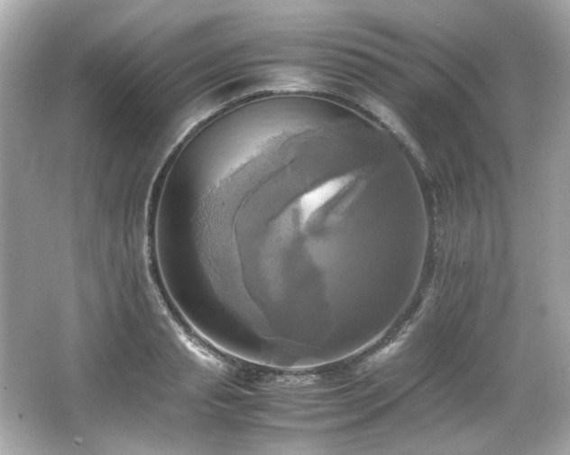 X0000066520845200603171216