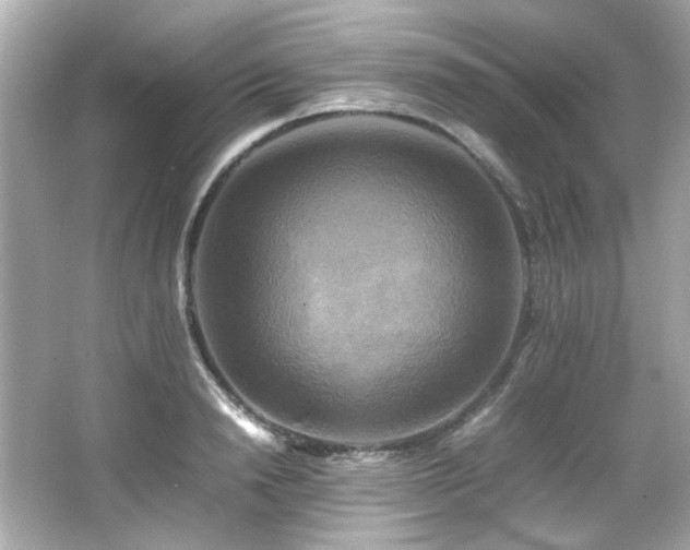 X0000066520846200603171216