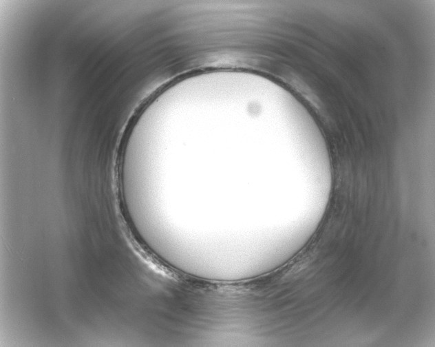 X0000066520848200603171216