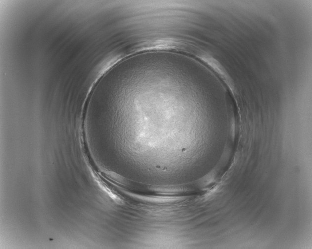 X0000066520850200603171216