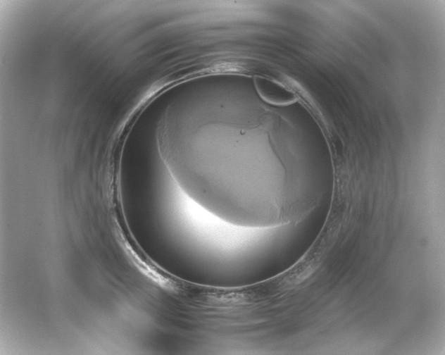 X0000066520851200603171216