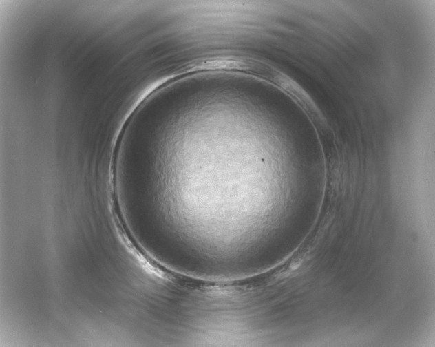 X0000066520852200603171216