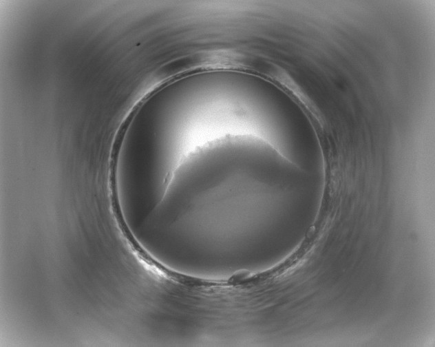 X0000066520853200603171216