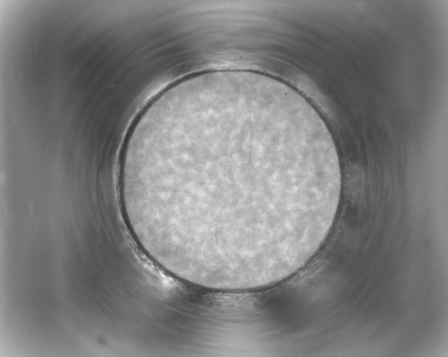 X0000066520856200603171216