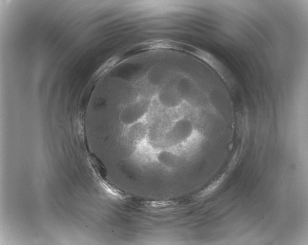 X0000066520857200603171216