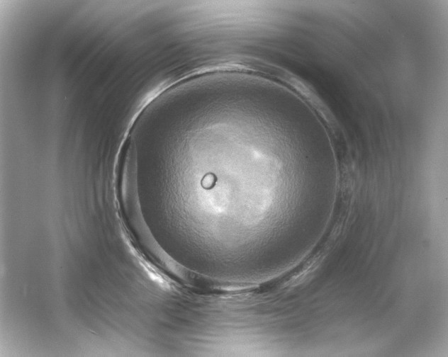 X0000066520858200603171216