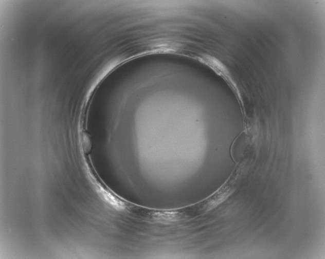 X0000066520859200603171216