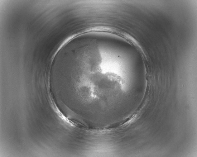 X0000066520860200603171216