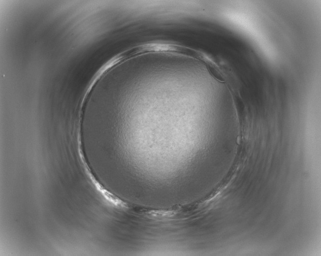 X0000066520861200603171216