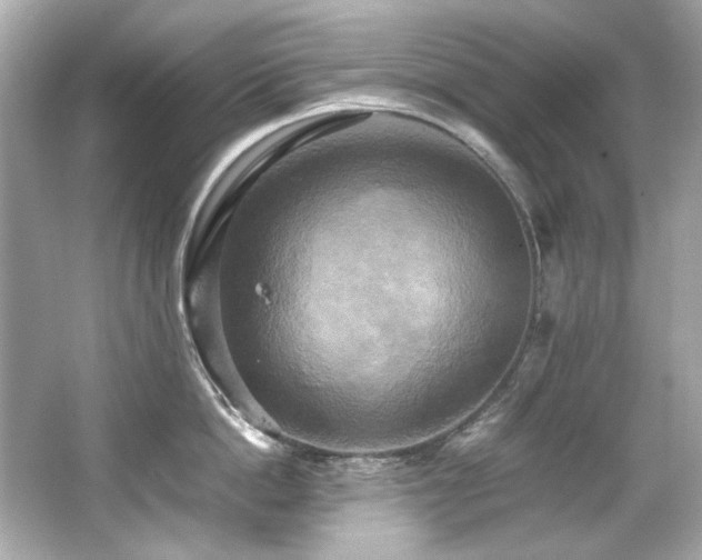 X0000066520862200603171216