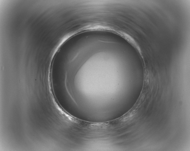 X0000066520863200603171216