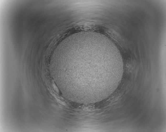 X0000066520865200603171215