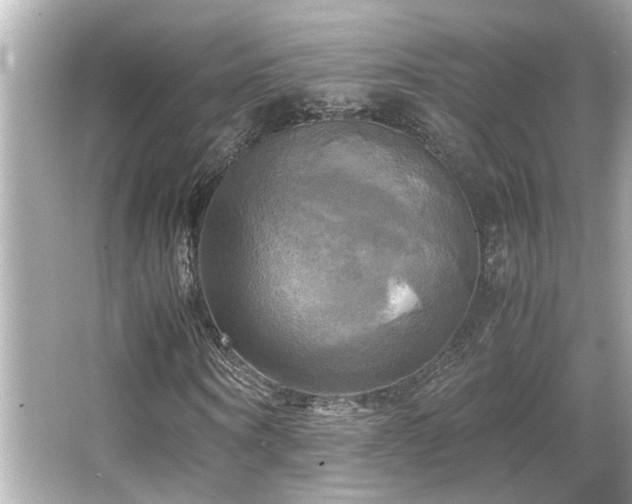 X0000066520866200603171215