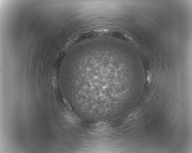 X0000066520867200603171215