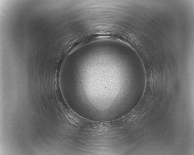 X0000066520868200603171215