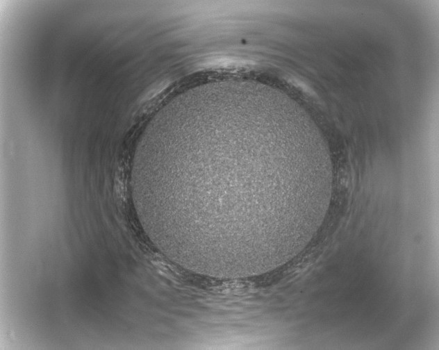 X0000066520869200603171215