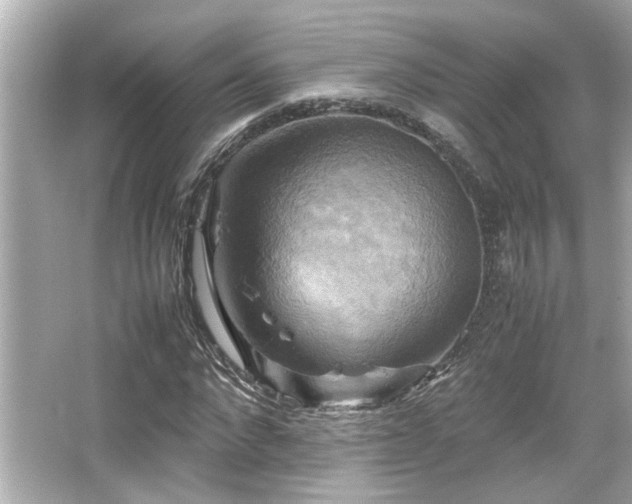 X0000066520872200603171215