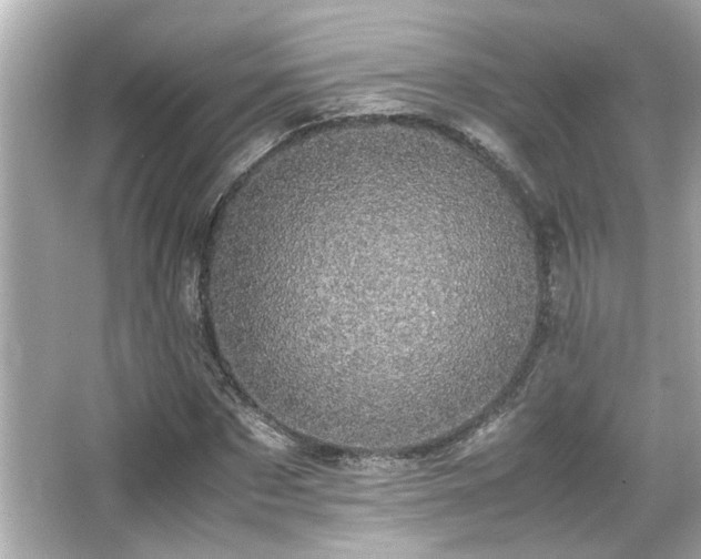 X0000066520873200603171215