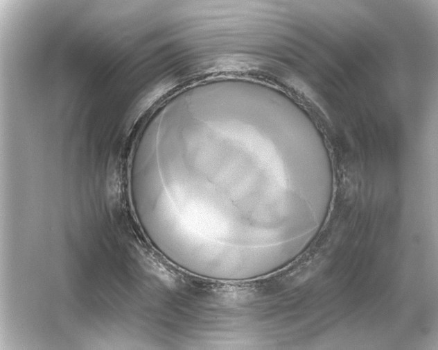 X0000066520874200603171215