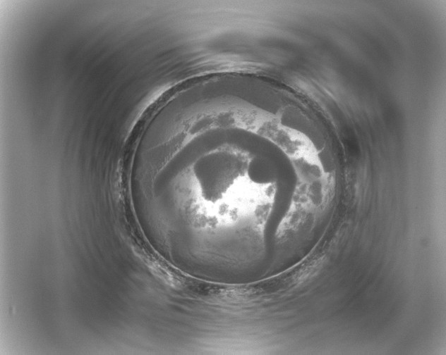 X0000066520875200603171215