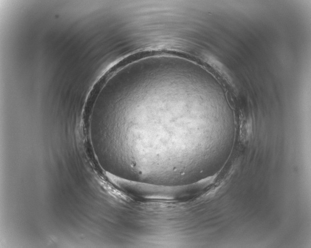 X0000066520876200603171215