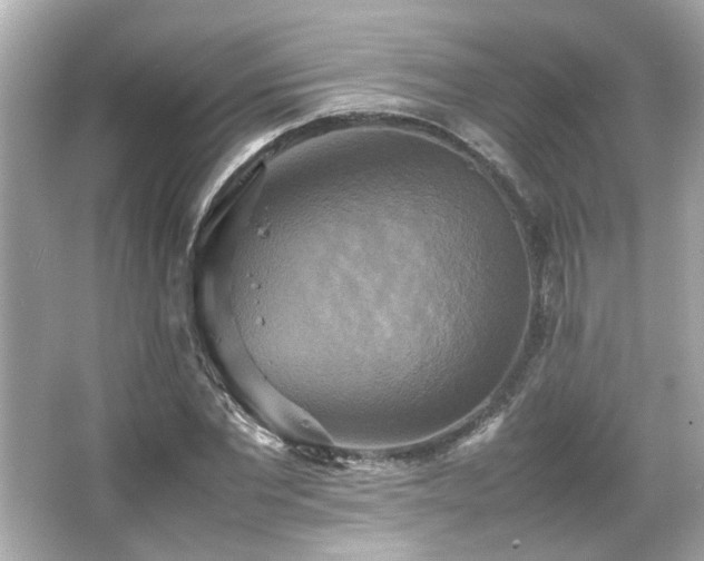 X0000066520877200603171215