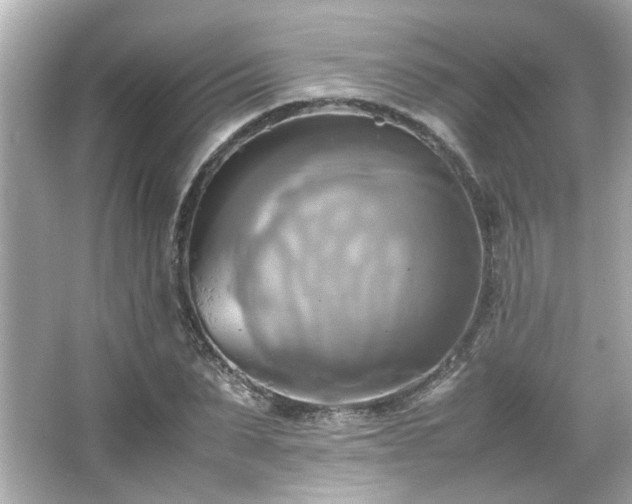 X0000066520879200603171215