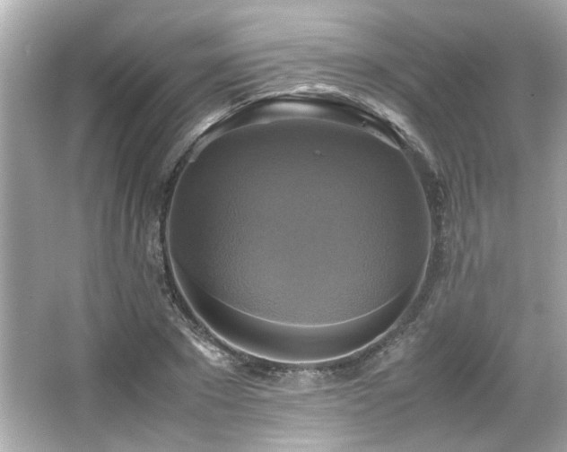 X0000066520881200603171215