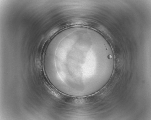 X0000066520882200603171215