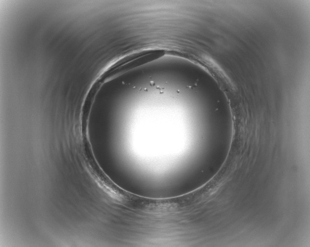 X0000066520884200603171215