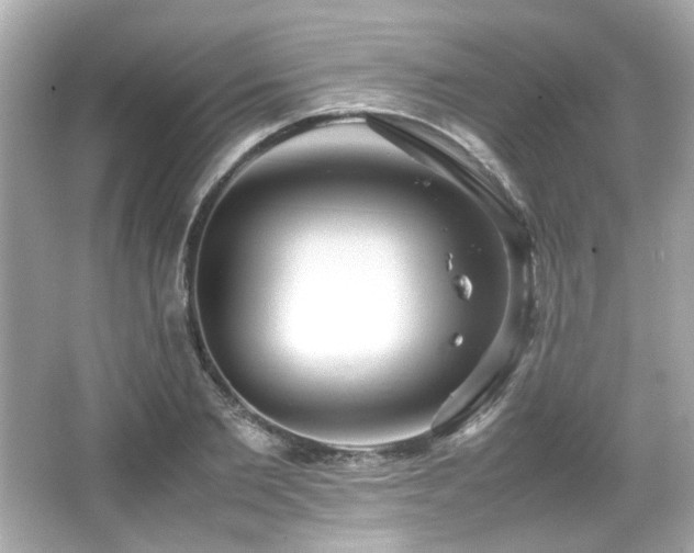 X0000066520885200603171215