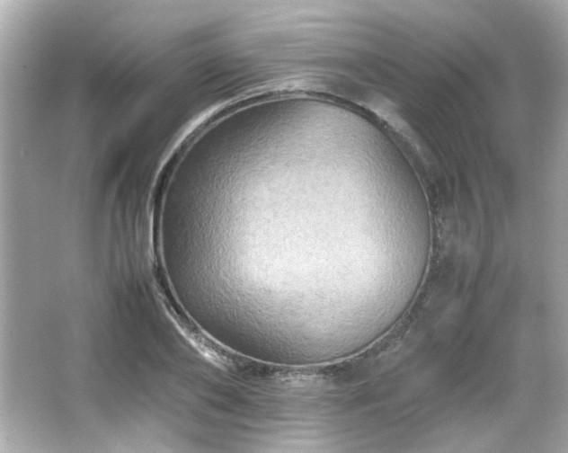 X0000066520886200603171215