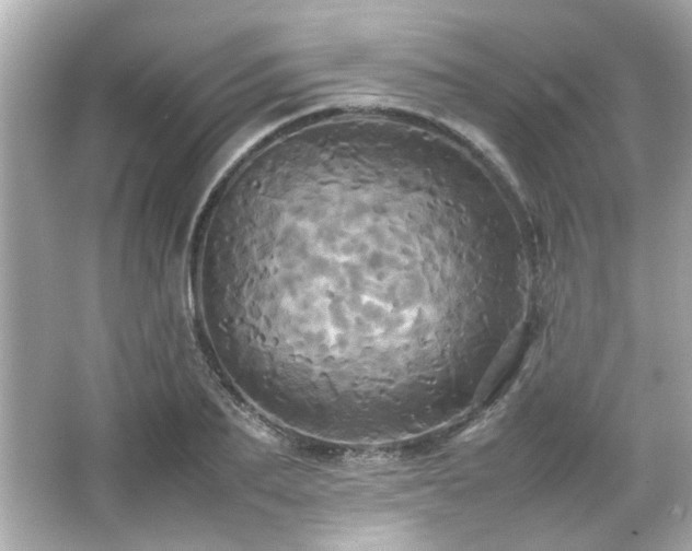 X0000066520887200603171215