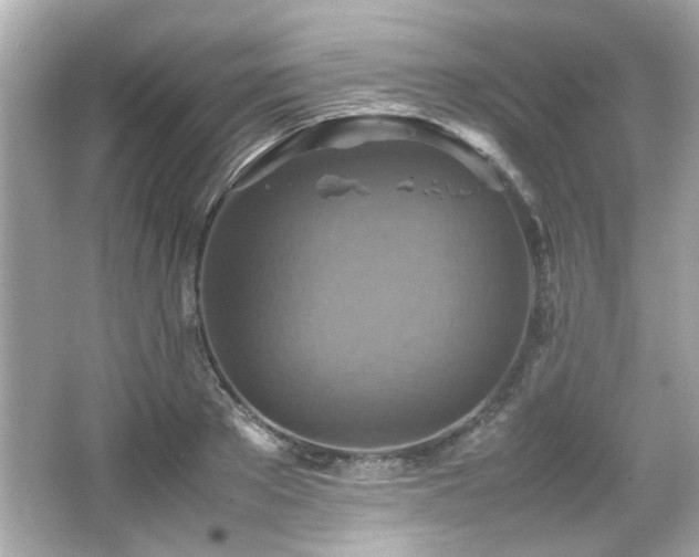 X0000066520889200603171215