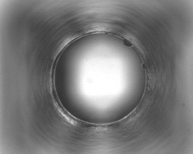 X0000066520890200603171215