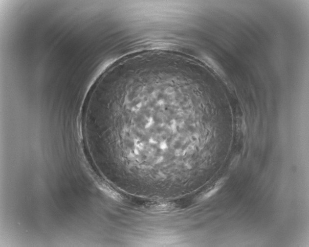 X0000066520891200603171215