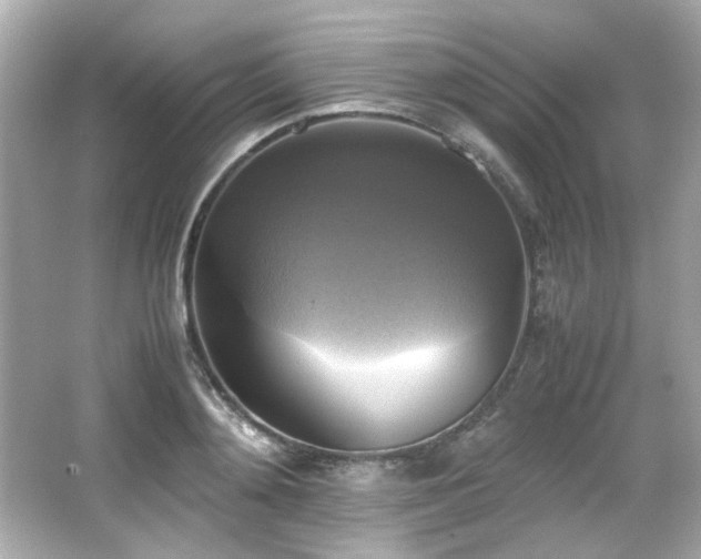 X0000066520892200603171215