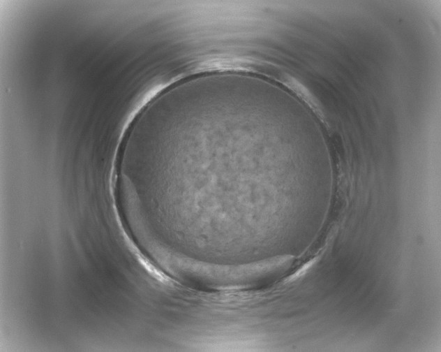 X0000066520893200603171215