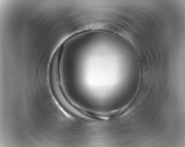 X0000066520894200603171215