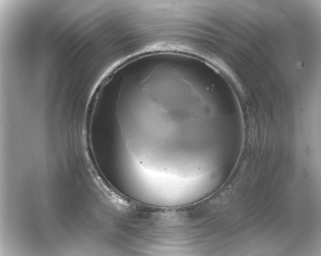 X0000066520896200603171215