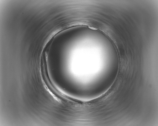 X0000066520898200603171215