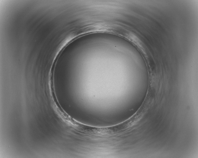 X0000066520899200603171215