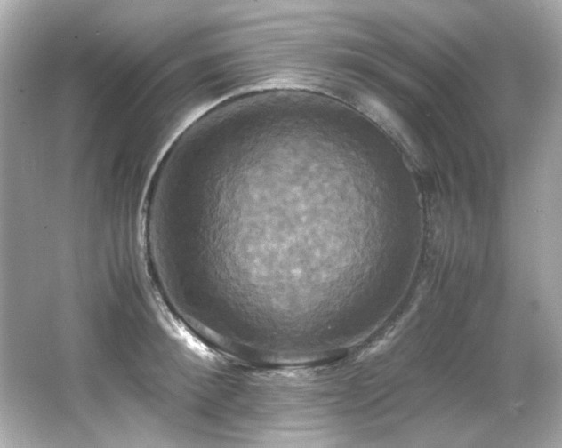 X0000066520900200603171215