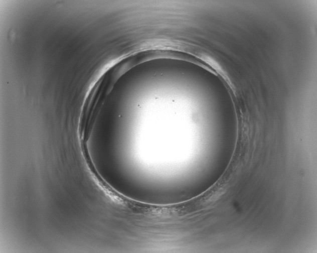 X0000066520901200603171215