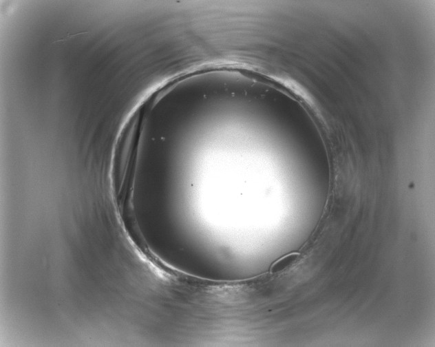 X0000066520902200603171215