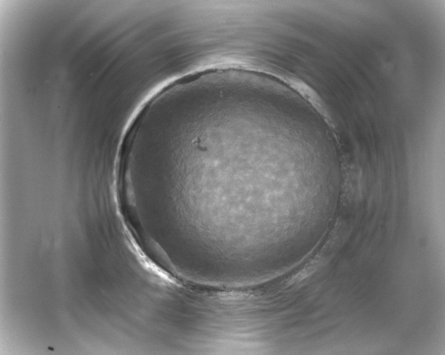 X0000066520904200603171215