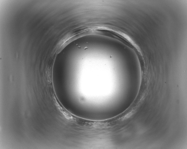 X0000066520905200603171215