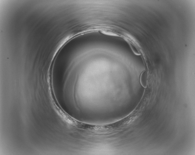 X0000066520907200603171215